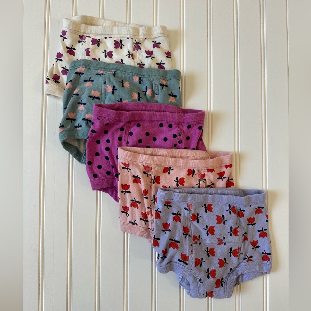 Hanna Andersson -like new training underwear